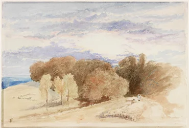 Arundel Park